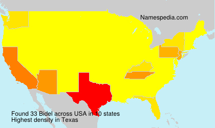 Surname Bidel in USA
