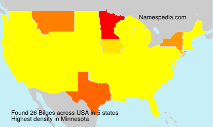 Surname Bilges in USA