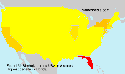 Surname Birnholz in USA
