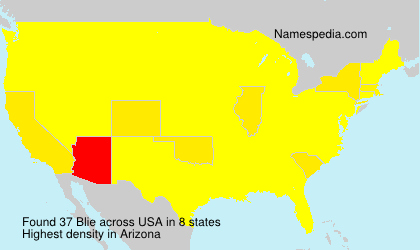 Surname Blie in USA