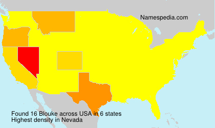 Surname Blouke in USA