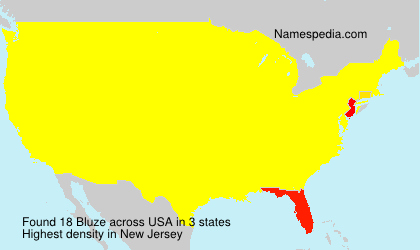 Surname Bluze in USA