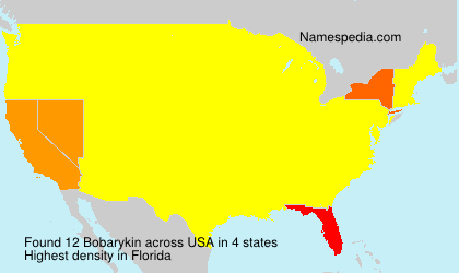 Surname Bobarykin in USA