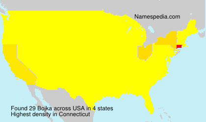 Surname Bojka in USA