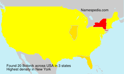 Surname Bolonik in USA
