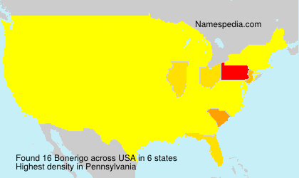 Surname Bonerigo in USA