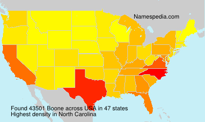 Surname Boone in USA