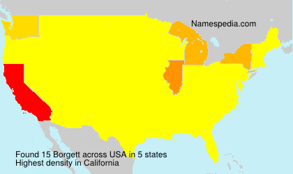 Surname Borgett in USA