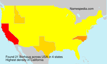 Surname Borhaug in USA