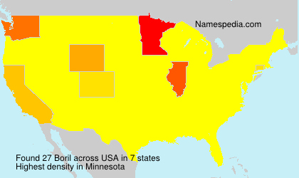 Surname Boril in USA