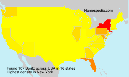 Surname Boritz in USA