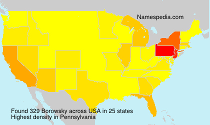 Surname Borowsky in USA
