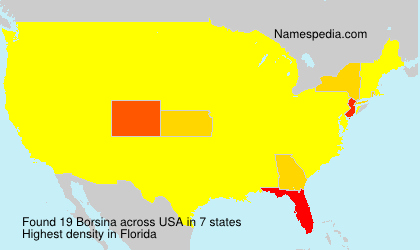 Surname Borsina in USA