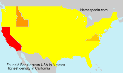 Surname Borul in USA