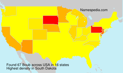 Surname Boub in USA