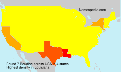Surname Boudine in USA