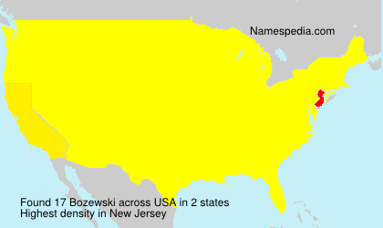 Surname Bozewski in USA