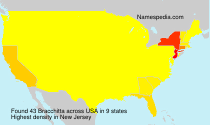 Surname Bracchitta in USA