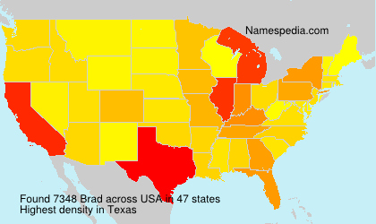 Surname Brad in USA