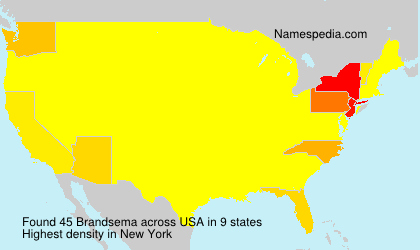 Surname Brandsema in USA