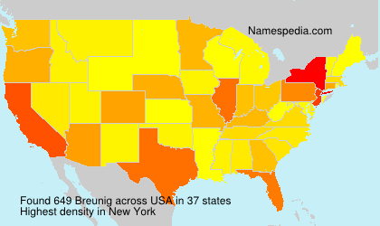 Surname Breunig in USA