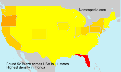 Surname Brezo in USA