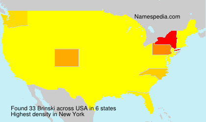 Surname Brinski in USA