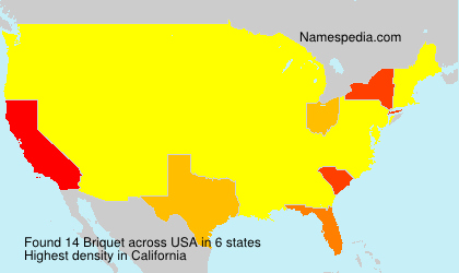 Surname Briquet in USA