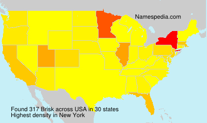 Surname Brisk in USA