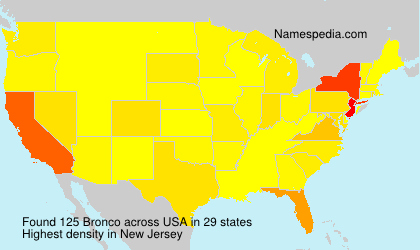 Surname Bronco in USA