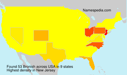 Surname Bronish in USA