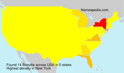 Surname Broodie in USA