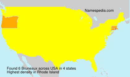 Surname Bruneaux in USA