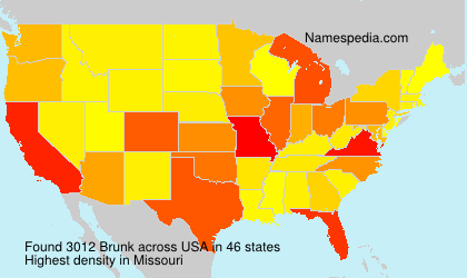 Surname Brunk in USA