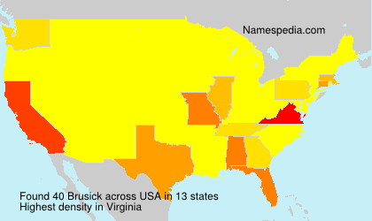Surname Brusick in USA