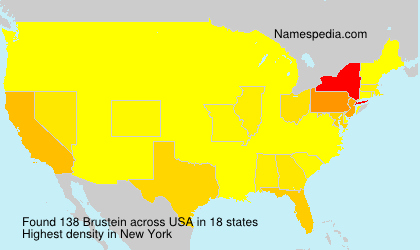 Surname Brustein in USA