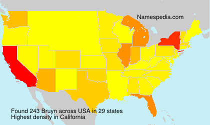 Surname Bruyn in USA