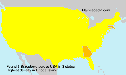 Surname Brzostecki in USA