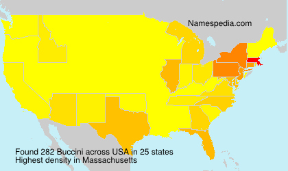 Surname Buccini in USA