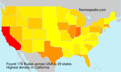 Surname Budak in USA