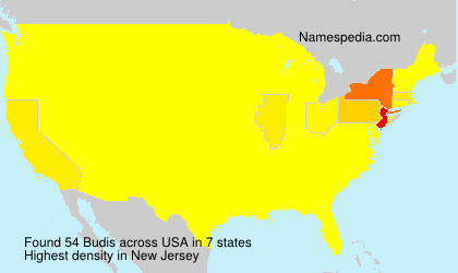 Surname Budis in USA