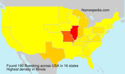 Surname Buesking in USA