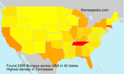 Surname Bumpus in USA