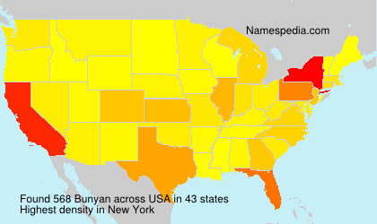 Surname Bunyan in USA