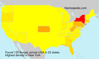 Surname Burgey in USA