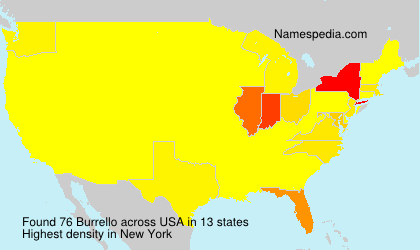 Surname Burrello in USA