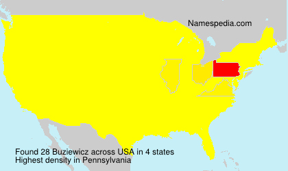 Surname Buziewicz in USA