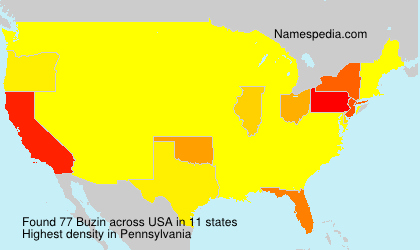 Surname Buzin in USA