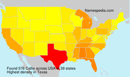 Surname Callie in USA