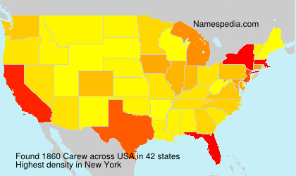 Surname Carew in USA